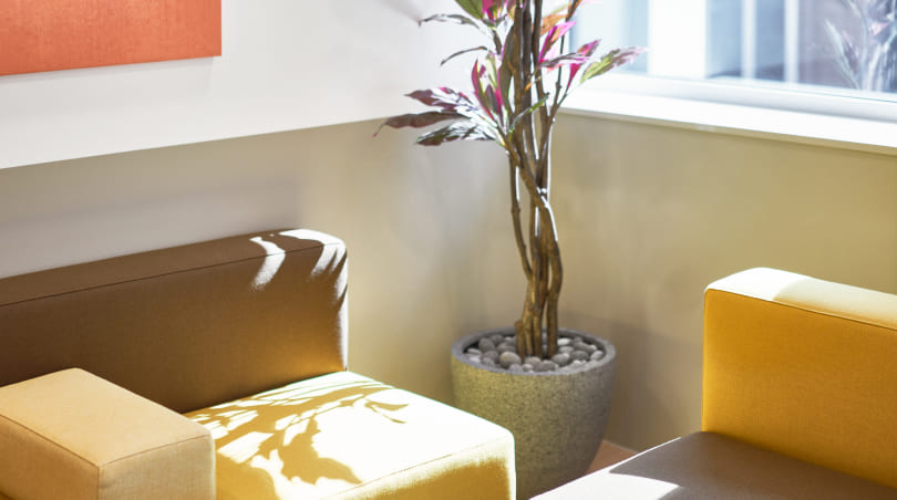 패파가 업계 1위가 될 수 있었던 공간 디자인의 비결