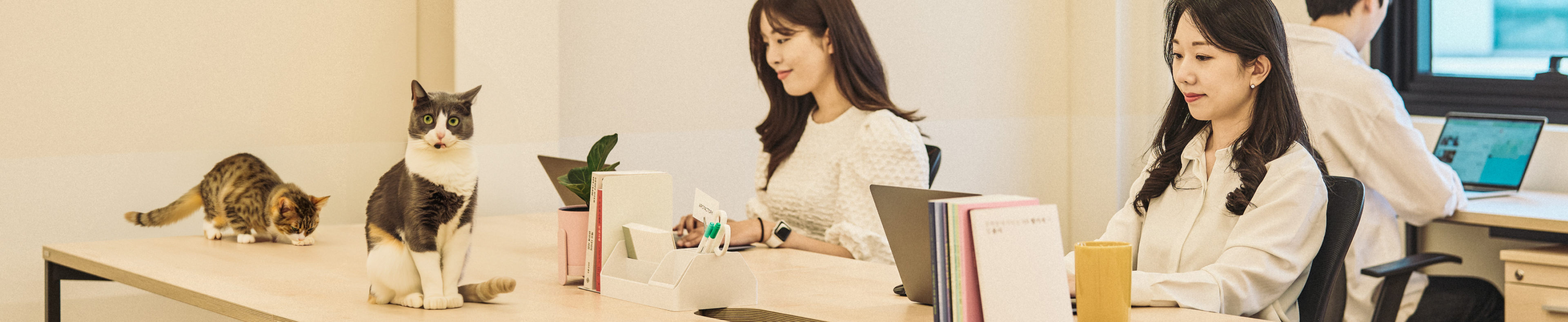 패스트파이브 펫 프렌들리