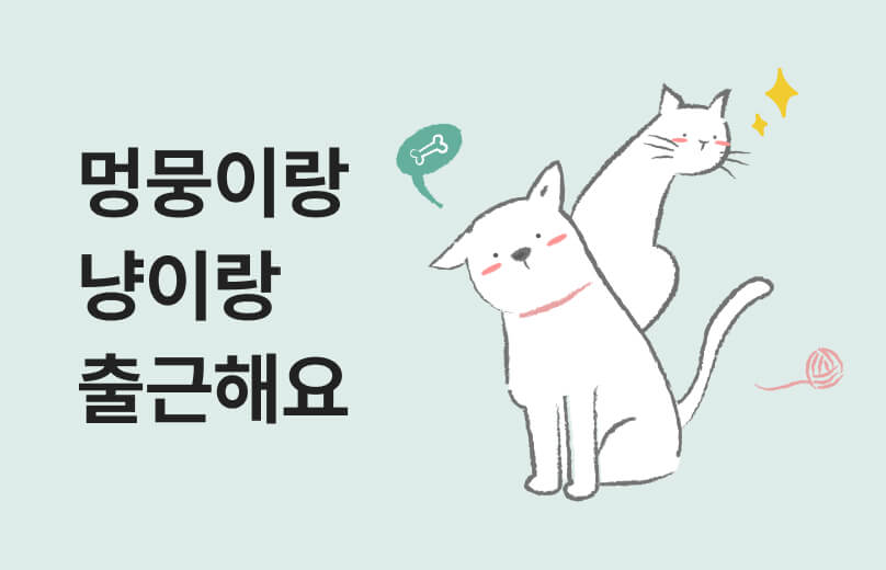 펫 프랜들리 프로그램
